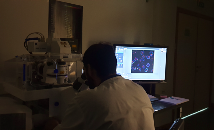 Labfit takes part in nanotechnology DREAM of UT Austin Portugal Program